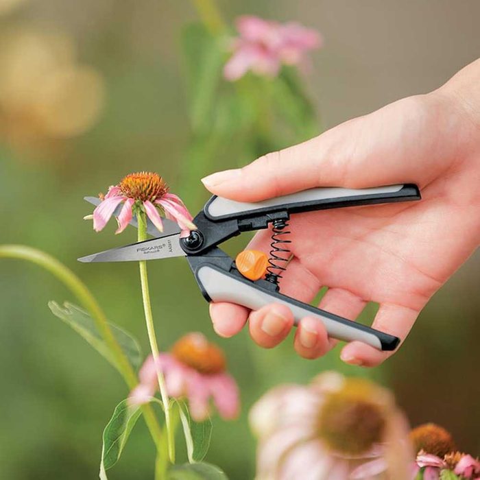 Garden Scissors