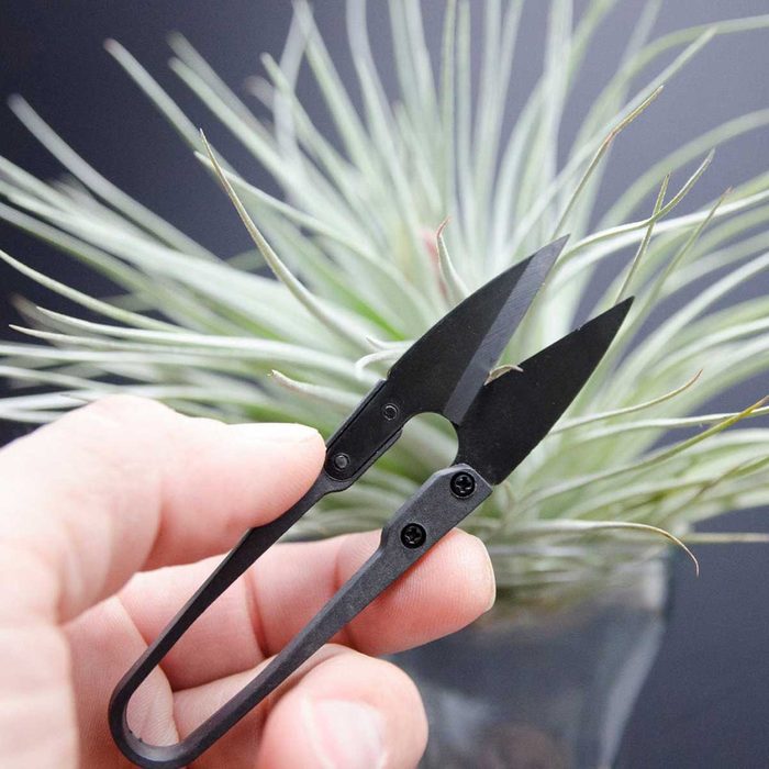 Garden Scissors