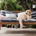 How To Clean Outdoor Cushions