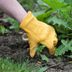 8 Common Mistakes People Make When Treating Weeds