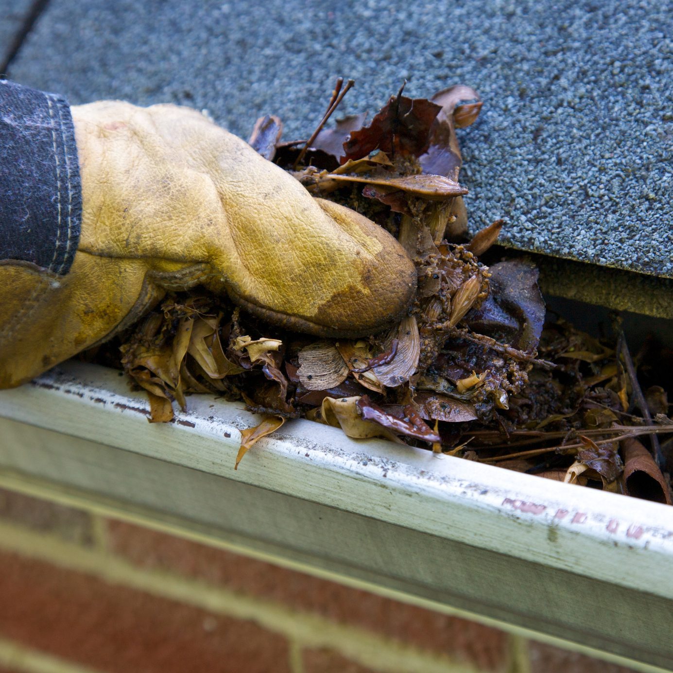 Fall Cleanup - Leaves in Gutter