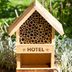 6 Best Bug Hotels of 2024