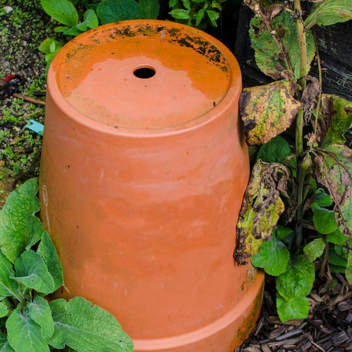 Flower Pot For Bees