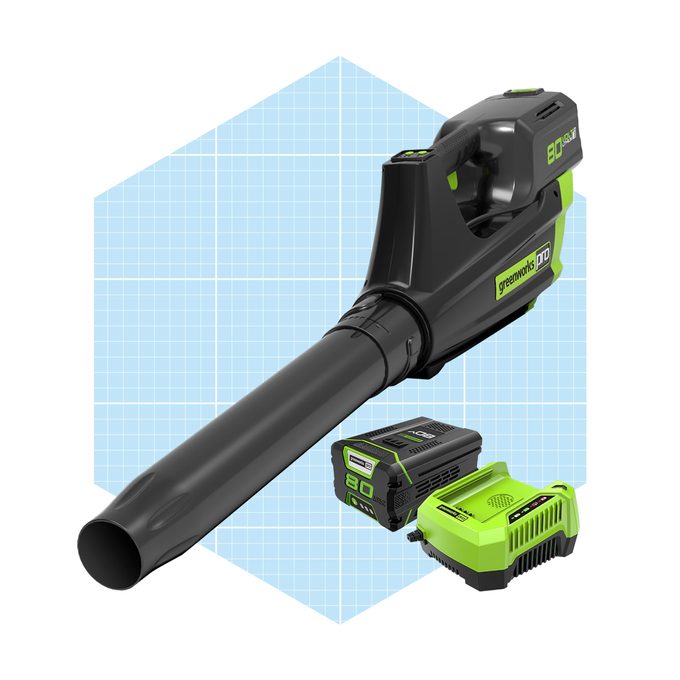 Cordless Leaf Blower