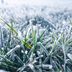 What Happens To Grass During the Winter?