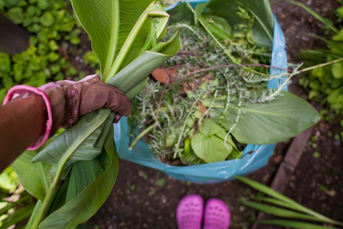 woman pulling plants from garden