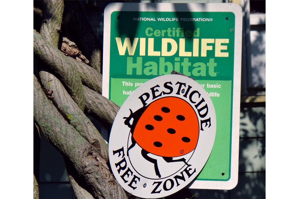 Gettyimages 1289227623 Cropped