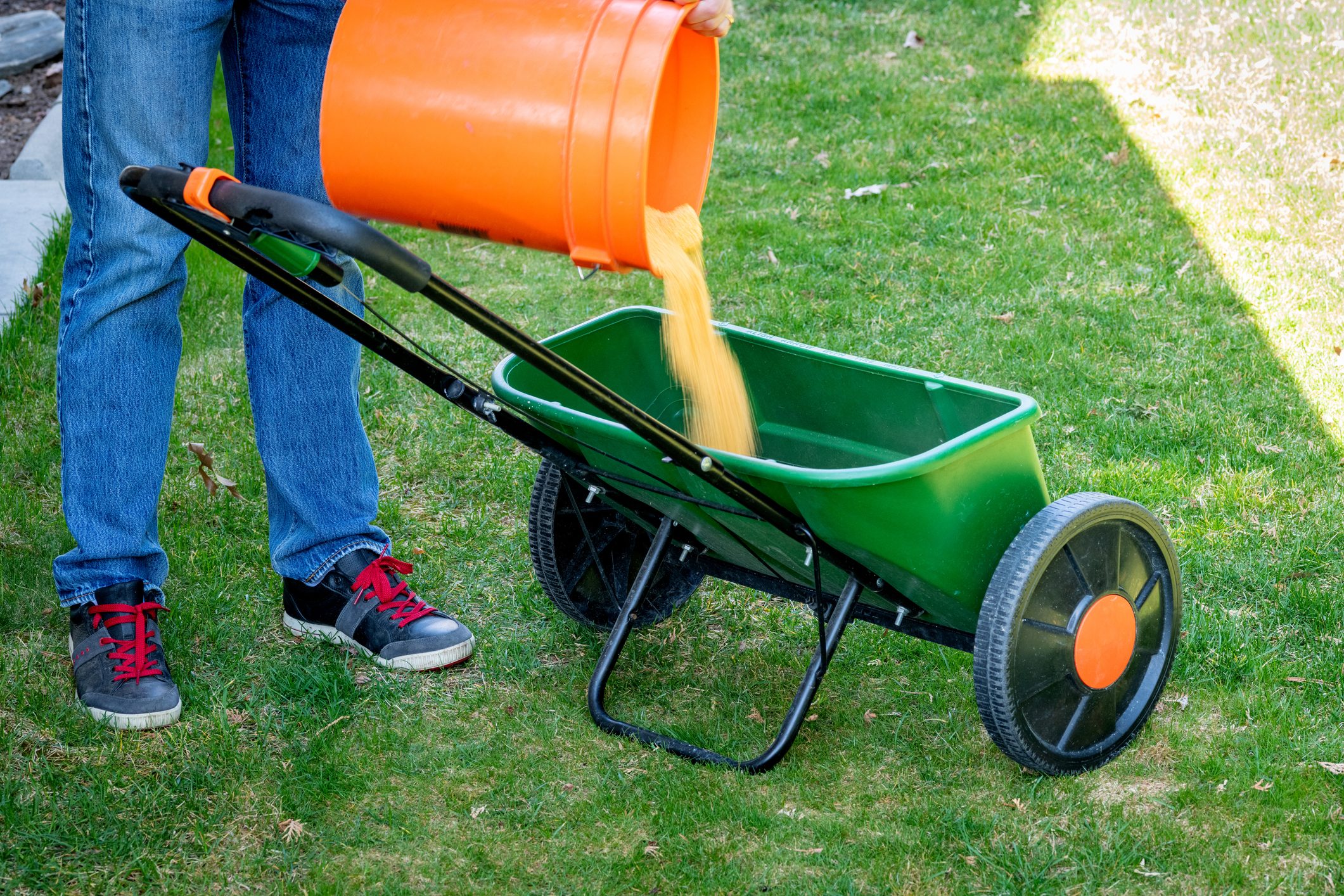 Man pouring fertilizer into a drop spreader for lawn fertilization