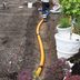 What Is a French Drain? What to Know