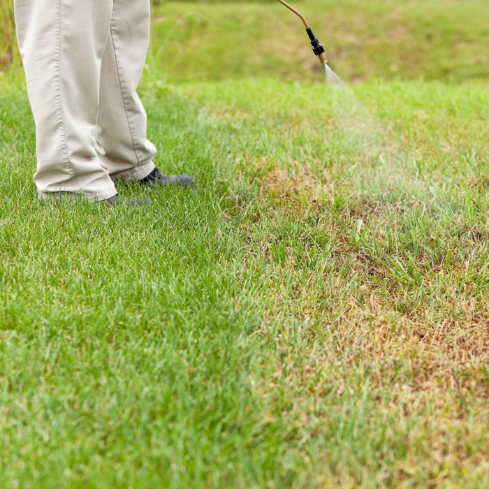 Lawn Care Worker Sprays Crabgrass
