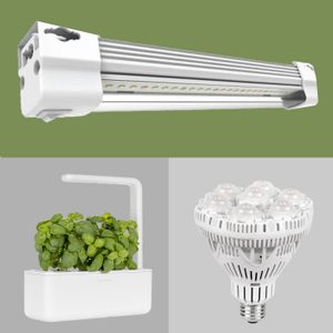 8 Best Grow Lights For Indoor Plants Featured Image