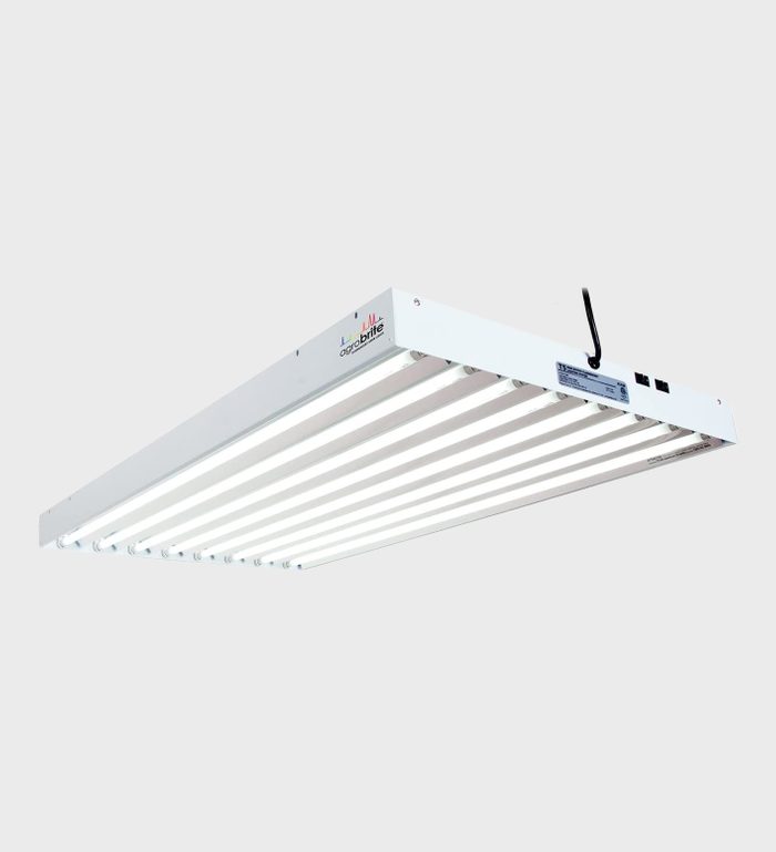 Best Fluorescent Grow Light