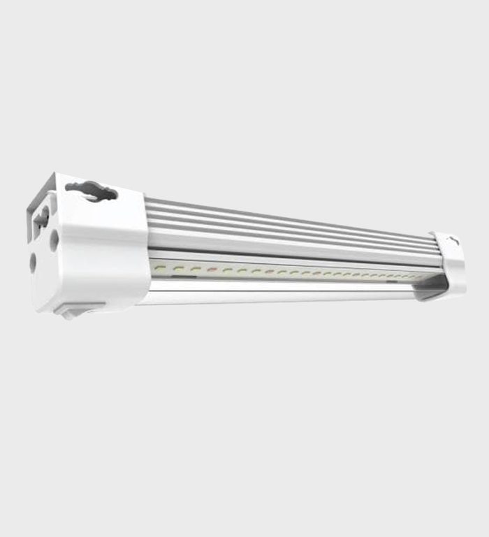 Best Grow Light For Cacti Succulents