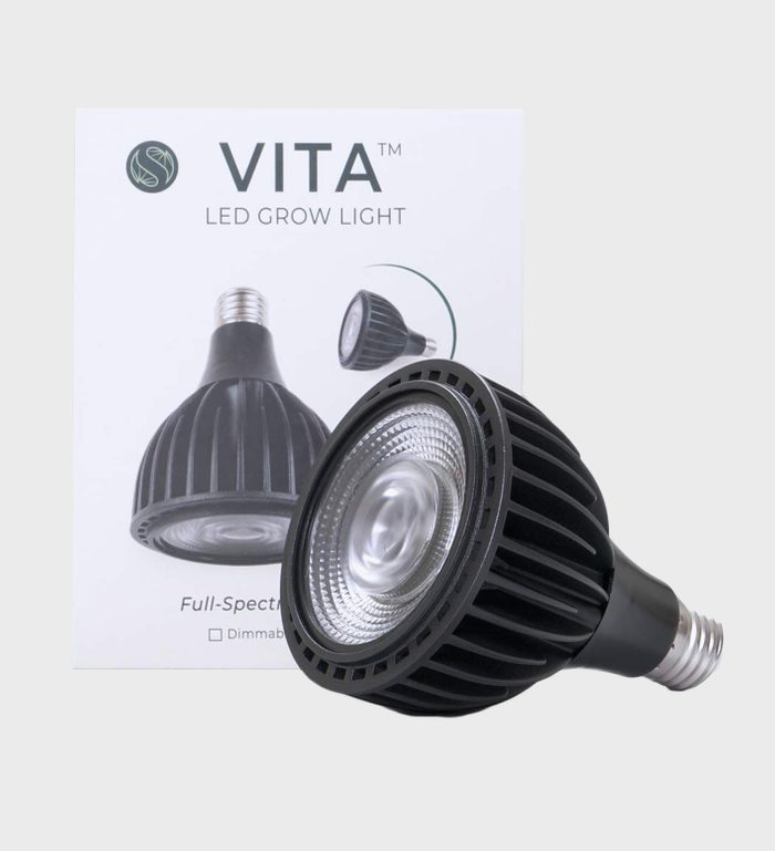 Best Grow Light For House Plants