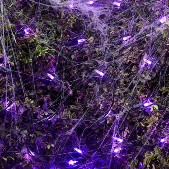 Best Halloween Lights For Your Shrubs