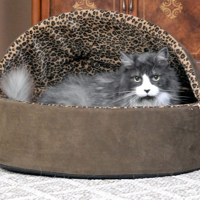 Deluxe Hooded Heated Cat Bed