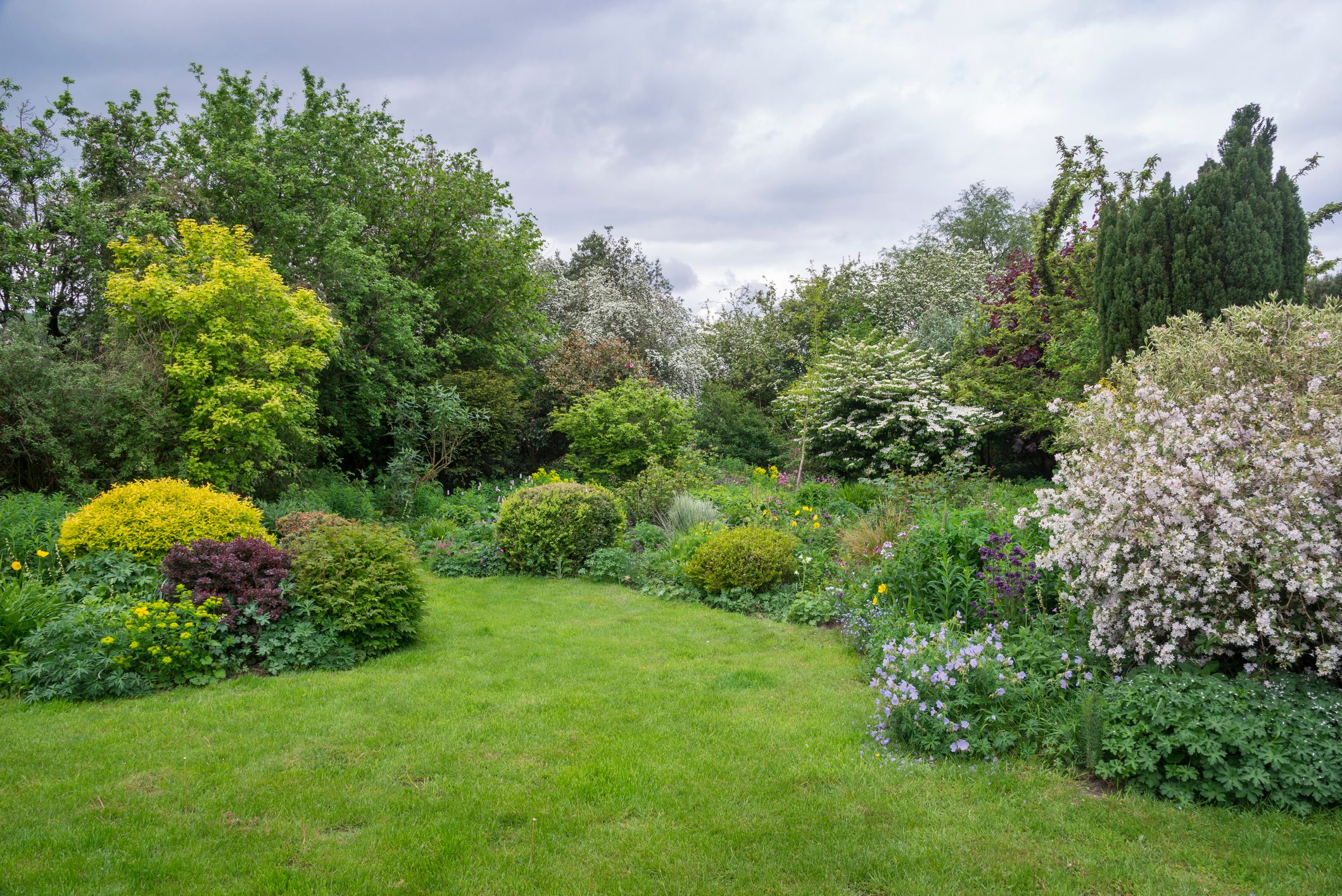 lawn and garden during the springtime