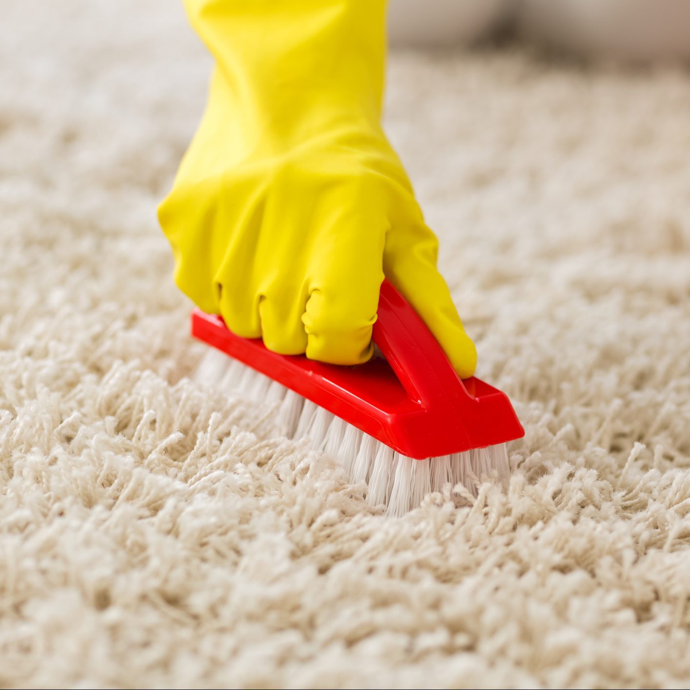 scrubbing cat pee out of carpet