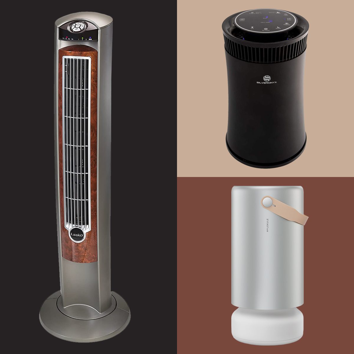 Best Air Ionizers