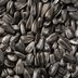 What Are Black Oil Sunflower Seeds?