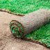 When Is the Best Time of Year To Lay Sod?