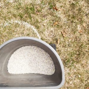 Broadcast Spreader Applying Fertilizer to Grass in the fall