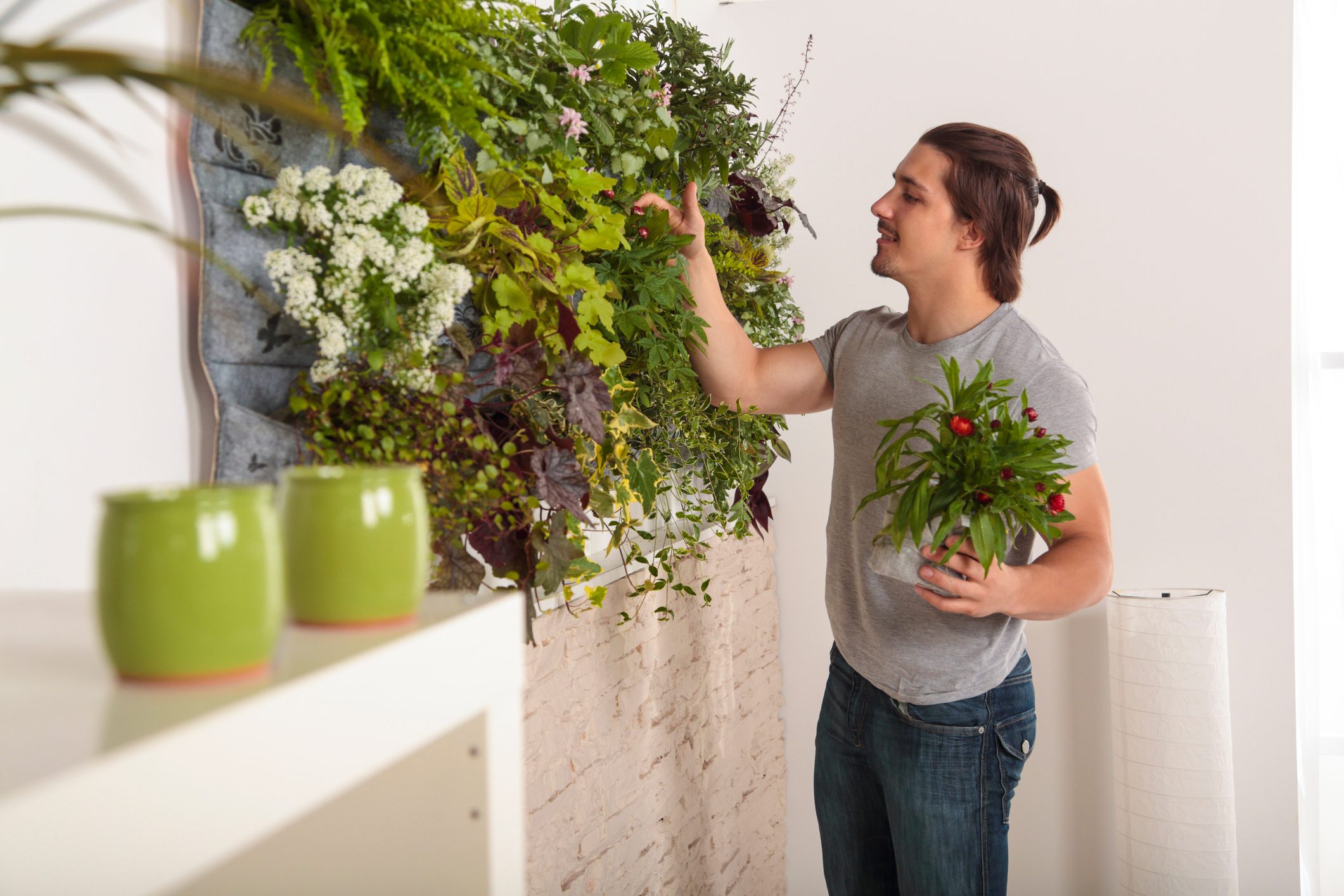 Homeowner’s Guide To Living Walls