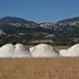 Should You Use Gypsum for Soil?