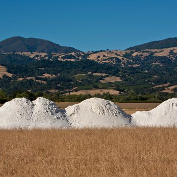 gypsum on top of soil