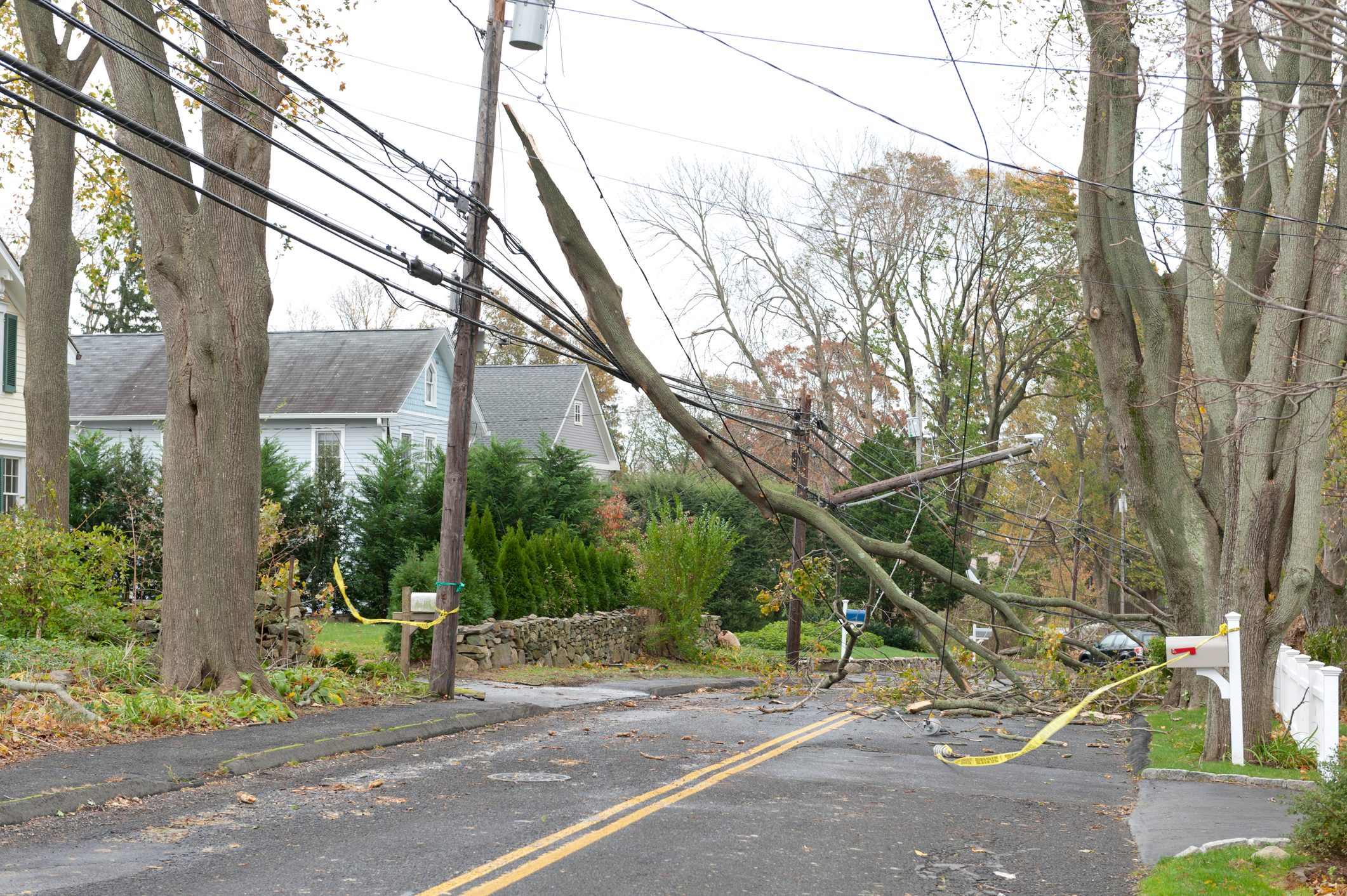 tree branch on top of power line in neighborhood