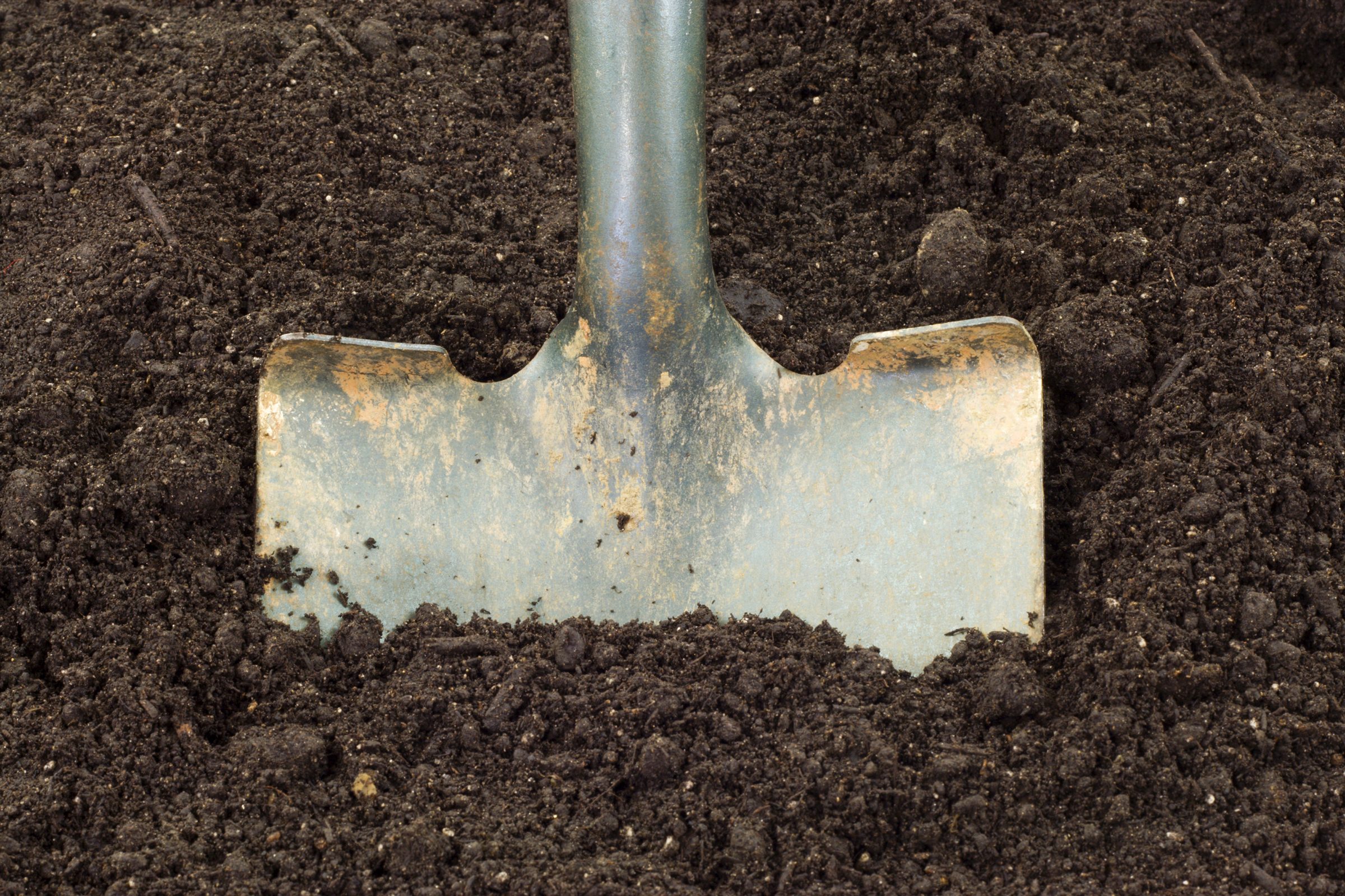 How To Improve Garden Soil in Winter