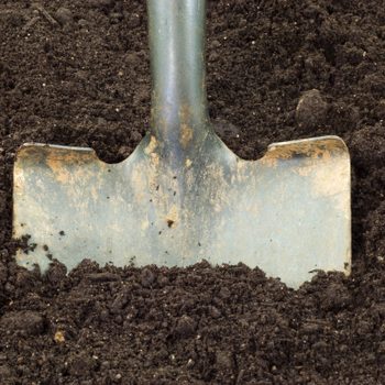 close up of metal shovel in garden soil