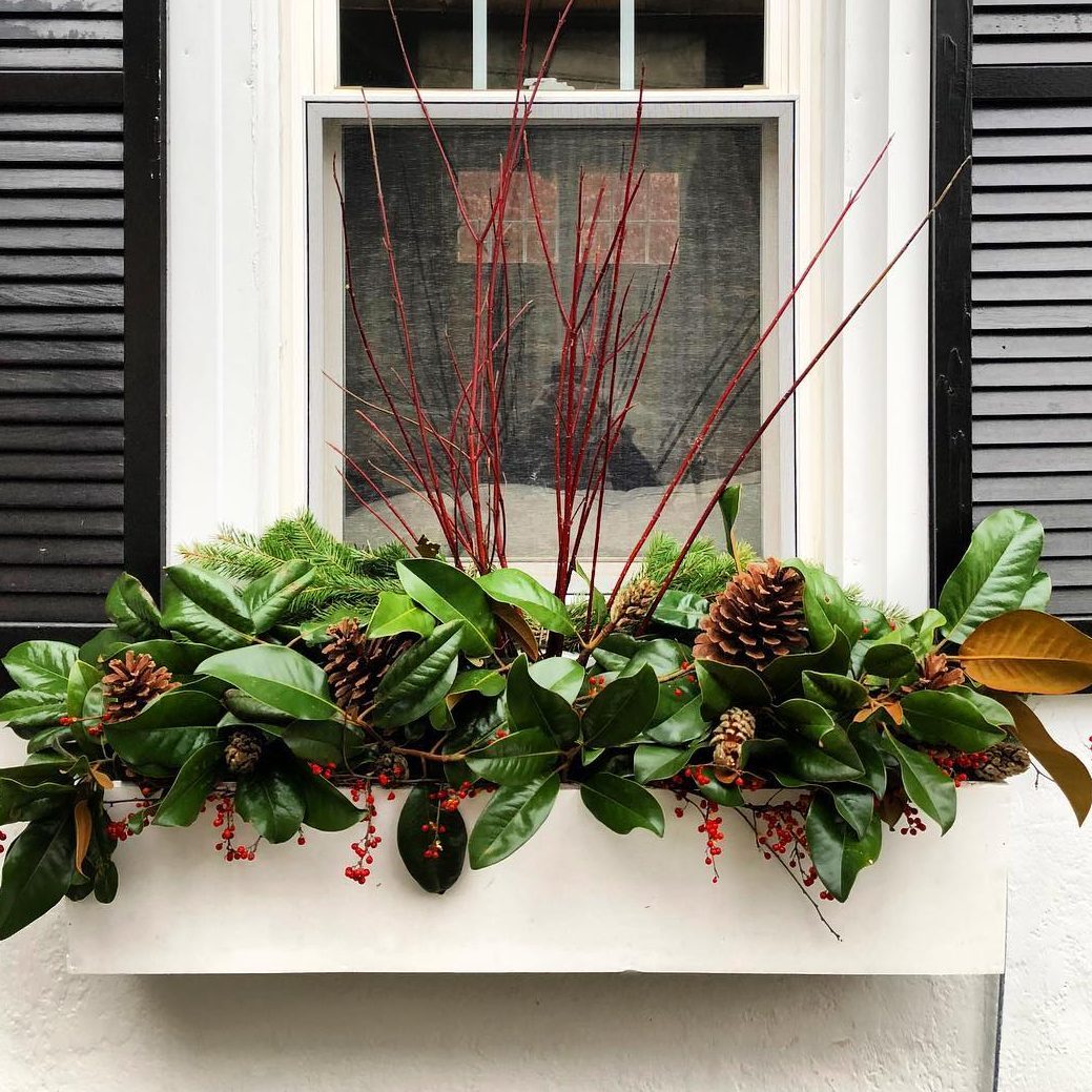 Magnolia Window Box