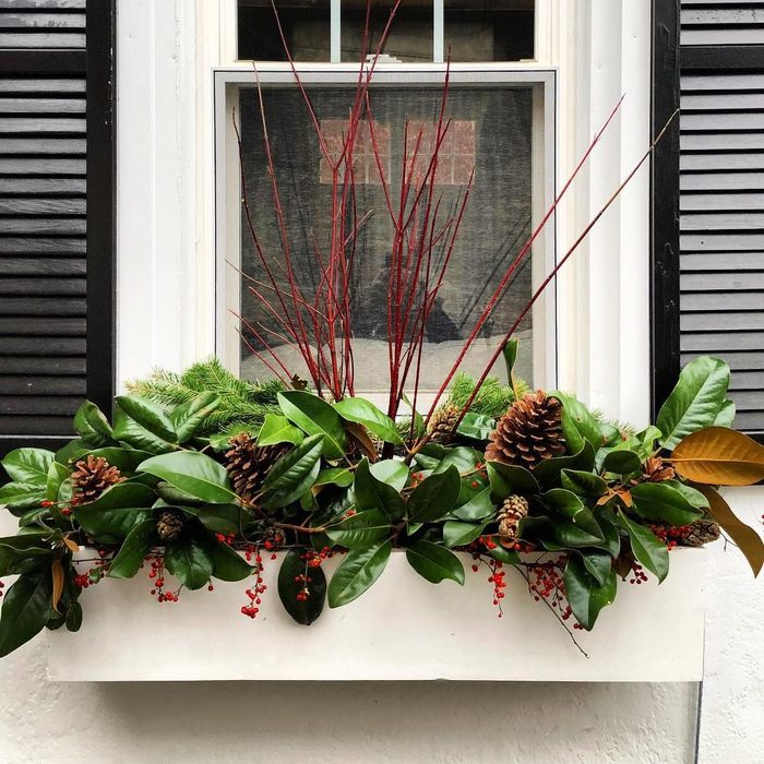 Magnolia Window Box