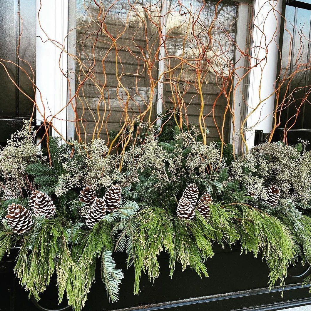Winter Window Box
