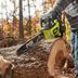 8 Best Chainsaws for Home Useâ€”Affordable and Gas Options