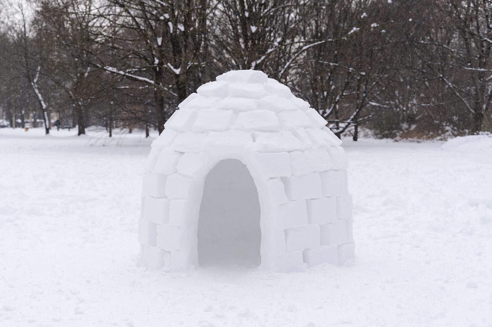 Everything You Need to Build an Igloo