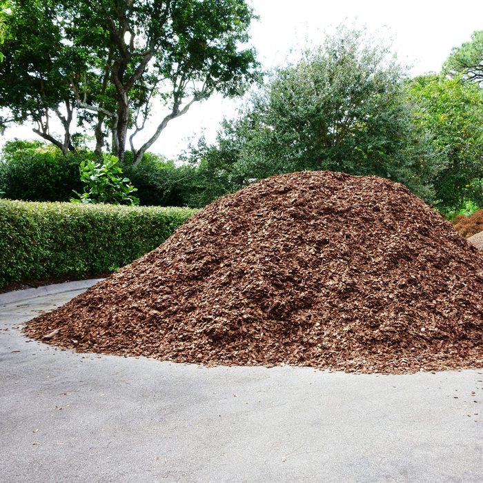 Pine bark mulch