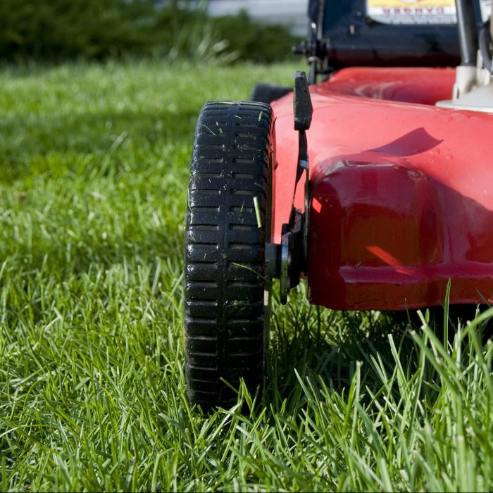 Lawn Mower from the Front