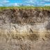 What Is Subsoil and How Does It Help a Garden?