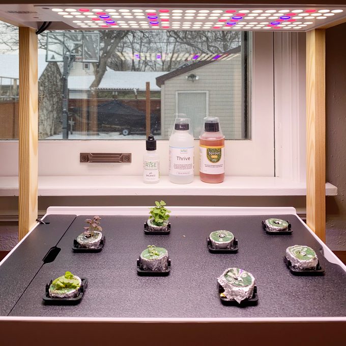 Family Handyman Personal Indoor Garden Grow Lights