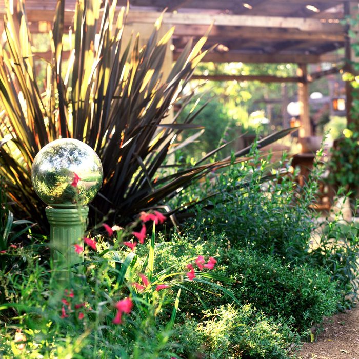 Gazing Orb Gettyimages 92571265