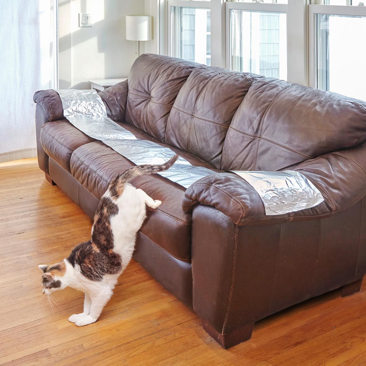 cat jumping off a leather couch lined with aluminum foil