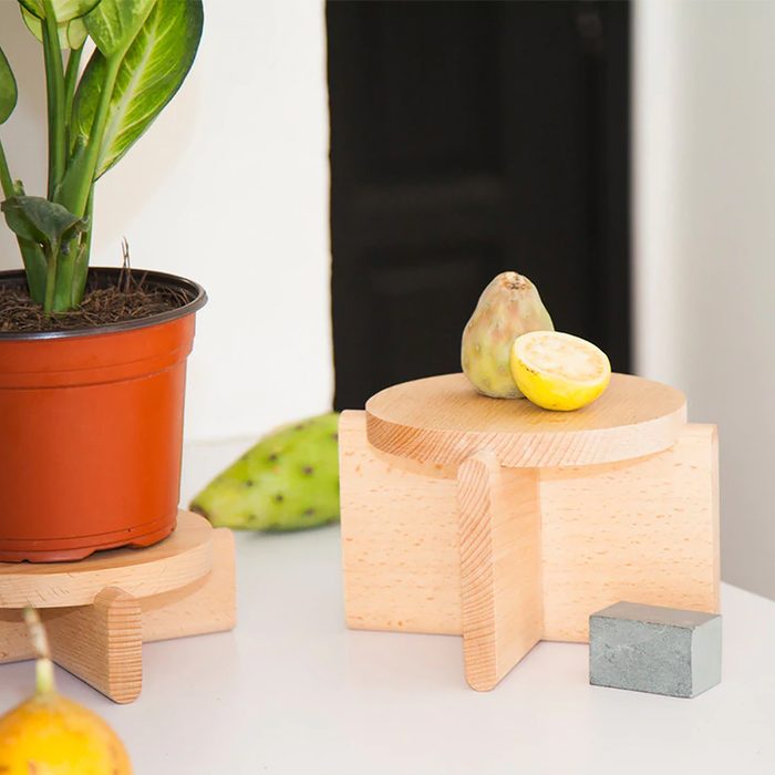 Areaware Plant Pedestal Set