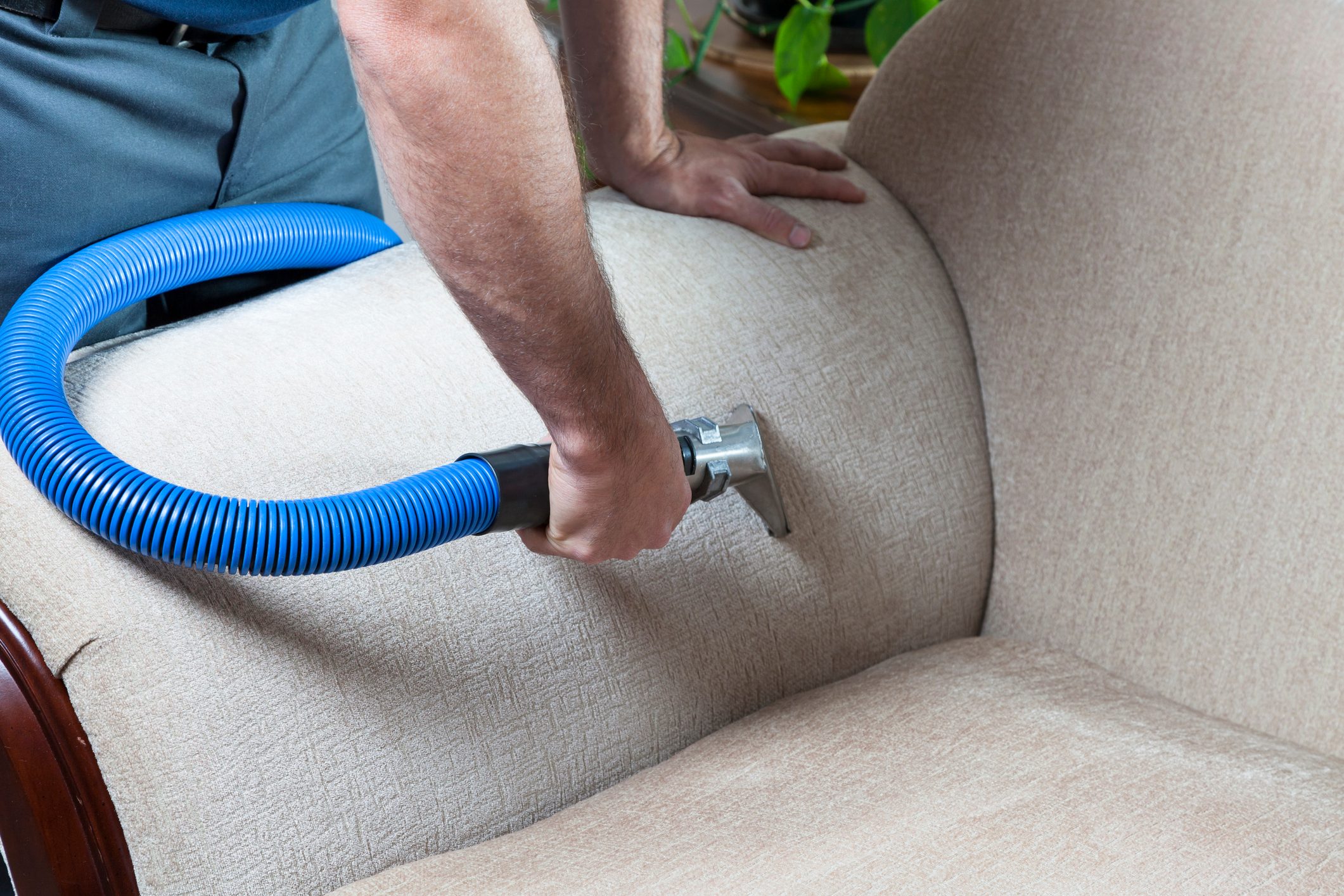 Cleaning Sofa