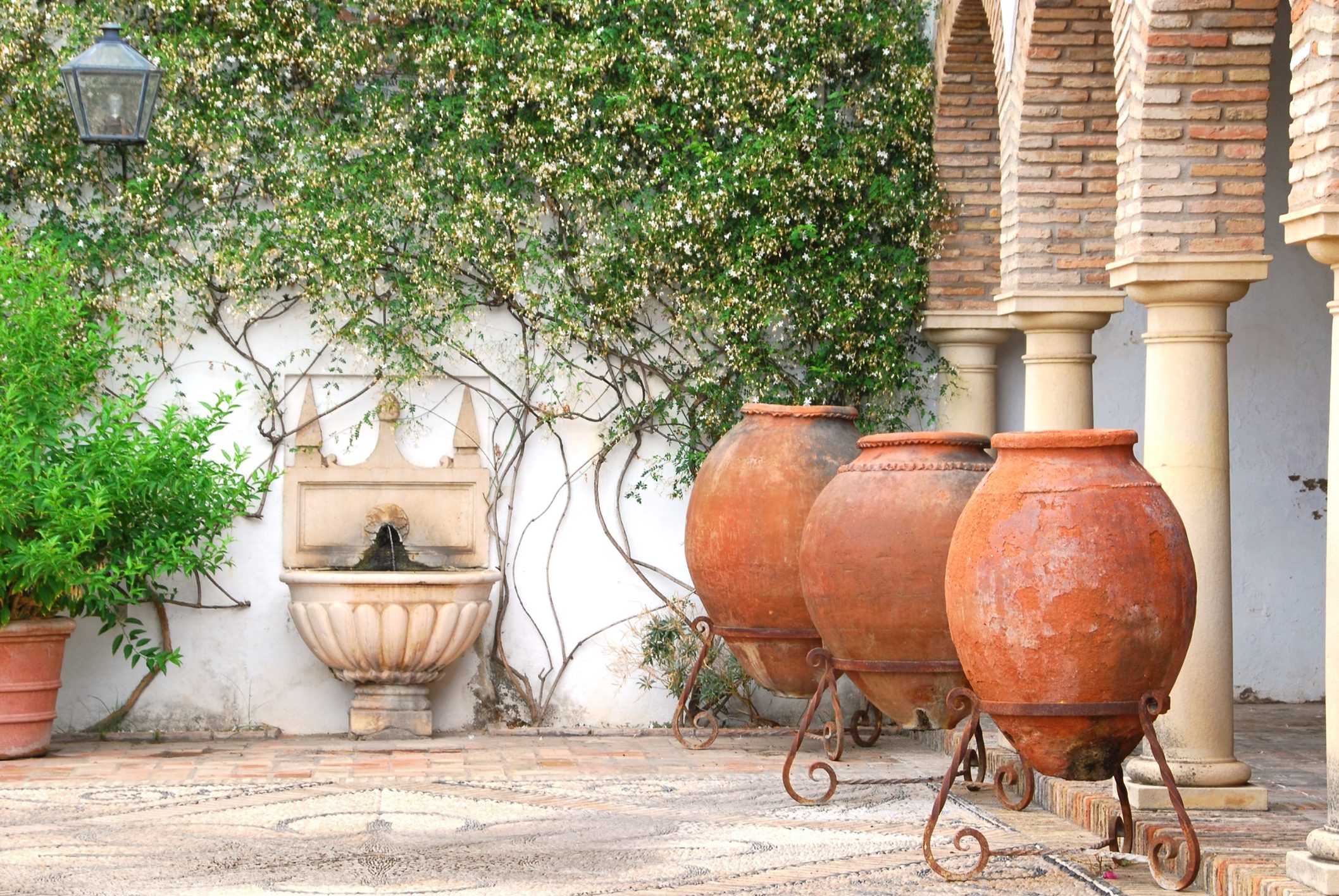 flowerpots standing in a patio