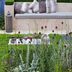 18 Unusual Gardens Ideas To Consider