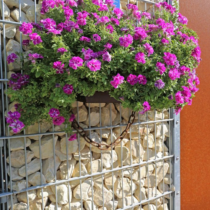 Gabion fence wall with flowers