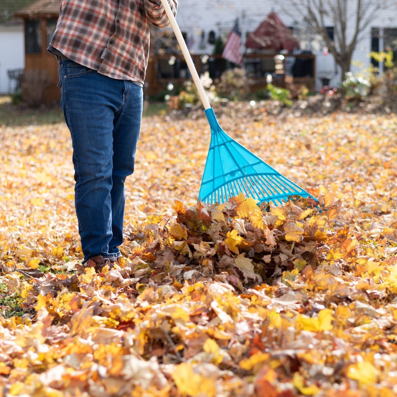 Low Section Of Man Holding Rake Working In Yard