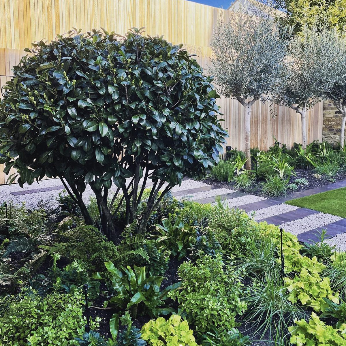 Gravel And Paver Stripe Walkway Courtesy Tomhowardgardens Instagram